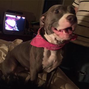 Meet your Posher, Diana